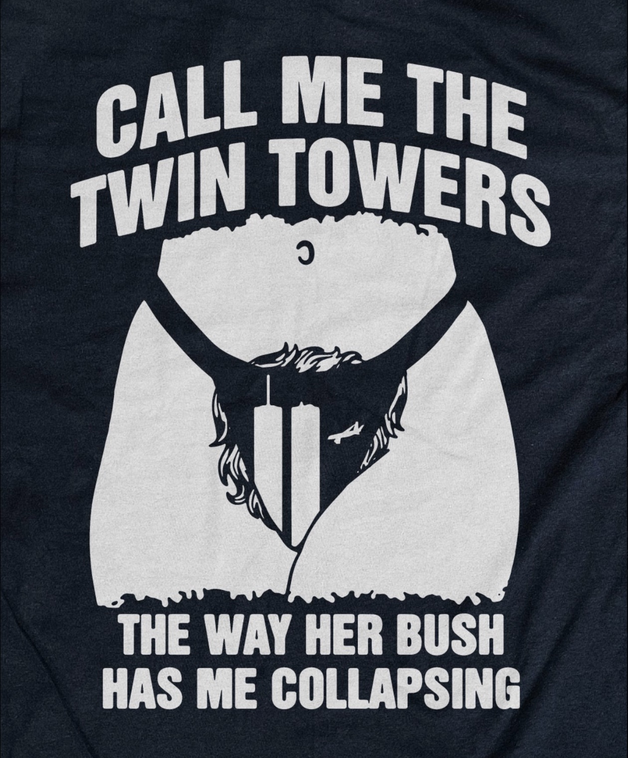 poster - Call Me The Twin Towers The Way Her Bush Has Me Collapsing